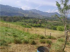  Grundstück zu verkaufen in Tamesis, Antioquia, Tamesis