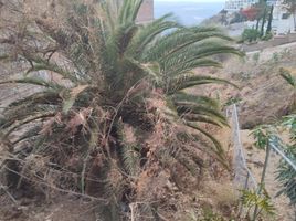  Grundstück zu verkaufen in Ixtlahuacan Del Rio, Jalisco, Ixtlahuacan Del Rio