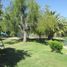  Land for sale in Curacavi, Santiago, Curacavi, Melipilla