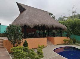 5 Habitación Casa en venta en Pereira, Risaralda, Pereira