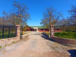  Terreno (Parcela) en venta en Maipo, Santiago, Paine, Maipo