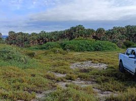 在Dist Juquila, Oaxaca出售的 土地, Dist Juquila