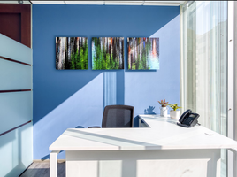 0 平米 Office for rent in 墨西哥, Alvaro Obregon, Mexico City, 墨西哥
