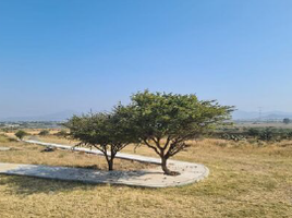 Terreno (Parcela) en venta en Huimilpan, Querétaro, Huimilpan