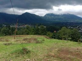  Tanah for sale in Cisarua, West Jawa, Cisarua