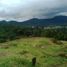  Tanah for sale in Cisarua, West Jawa, Cisarua