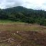  Tanah for sale in Cisarua, West Jawa, Cisarua