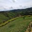  Land for sale in Cisneros, Antioquia, Cisneros