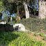 3 Schlafzimmer Haus zu verkaufen in Valle De Bravo, Mexico, Valle De Bravo