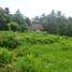  Terrain for sale in Ubud, Gianyar, Ubud