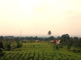  Grundstück zu verkaufen in Bogor, West Jawa, Ciomas