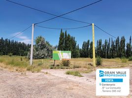  Terreno (Parcela) en venta en Confluencia, Neuquen, Confluencia