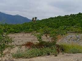  Grundstück zu verkaufen in Carmen, Nuevo Leon, Carmen