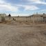 Terrain à vendre à Torreon, Coahuila, Torreon
