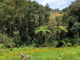  Terreno (Parcela) en venta en Parque de los Pies Descalzos, Medellín, Medellín