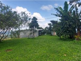  Villa en venta en Gualea, Quito, Gualea