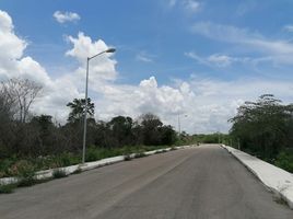  Grundstück zu verkaufen in Merida, Yucatan, Merida, Yucatan, Mexiko