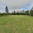  Land for sale in Colon, Entre Rios, Colon