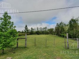  Land for sale in Colon, Entre Rios, Colon