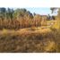  Land for sale in Chiautempan, Tlaxcala, Chiautempan, Tlaxcala