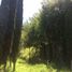 Estudio Casa en venta en Tetipac, Guerrero, Tetipac