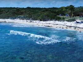  Grundstück zu verkaufen in Cozumel, Quintana Roo, Cozumel
