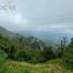  Land for sale in Villa Aldama, Veracruz, Villa Aldama