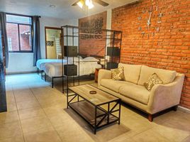 1 Schlafzimmer Appartement zu vermieten in Allende, Guanajuato, Allende