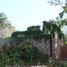  Terreno (Parcela) en venta en Merida, Yucatán, Merida, Yucatán