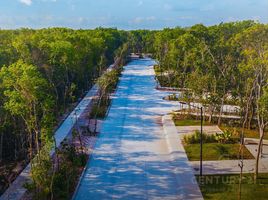  Grundstück zu verkaufen in Cozumel, Quintana Roo, Cozumel