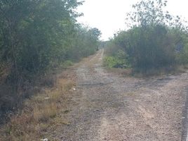  Grundstück zu verkaufen in Acanceh, Yucatan, Acanceh
