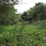 Studio House for sale in Tamiahua, Veracruz, Tamiahua