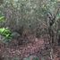 Studio House for sale in Tamiahua, Veracruz, Tamiahua