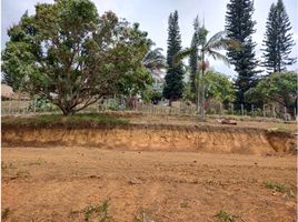  Grundstück zu verkaufen in Girardota, Antioquia, Girardota