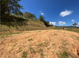  Terreno (Parcela) en venta en San Vicente, Antioquia, San Vicente