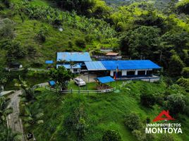 6 Habitación Casa en venta en Risaralda, Santa Rosa De Cabal, Risaralda