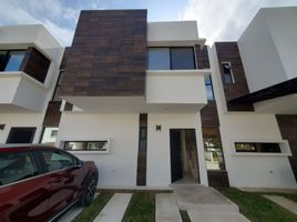 Maison 3 chambre à louer à Cozumel, Quintana Roo, Cozumel, Quintana Roo