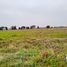  Land for sale in Chiconcuac, Mexico, Chiconcuac