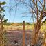  Terreno (Parcela) en venta en Compostela, Nayarit, Compostela