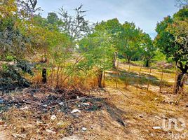  Terreno (Parcela) en venta en Compostela, Nayarit, Compostela