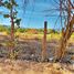  Terreno (Parcela) en venta en Compostela, Nayarit, Compostela