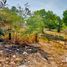  Terreno (Parcela) en venta en Compostela, Nayarit, Compostela