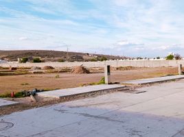  토지을(를) Irapuato, 구아나후토에서 판매합니다., Irapuato
