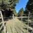  Land for sale in Cuautinchan, Puebla, Cuautinchan