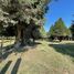  Land for sale in Cuautinchan, Puebla, Cuautinchan