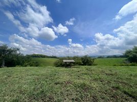 3 Habitación Villa en venta en Ulloa, Valle Del Cauca, Ulloa