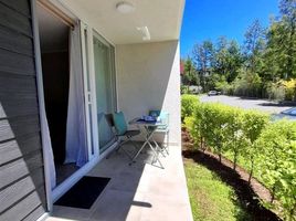 1 Bedroom Apartment for sale in Playa Pucón, Pucon, Pucon