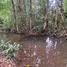 Studio House for sale in Guabito, Bocas Del Toro, Guabito, Changuinola, Bocas Del Toro