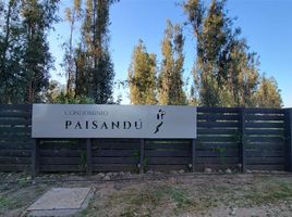  Land for sale in Maipo, Santiago, Buin, Maipo