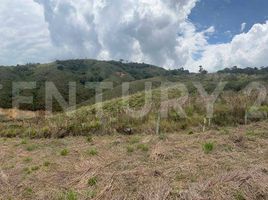 Estudio Casa en venta en Calima, Valle Del Cauca, Calima